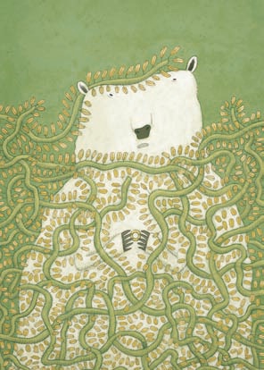 O rei oso branco_oso